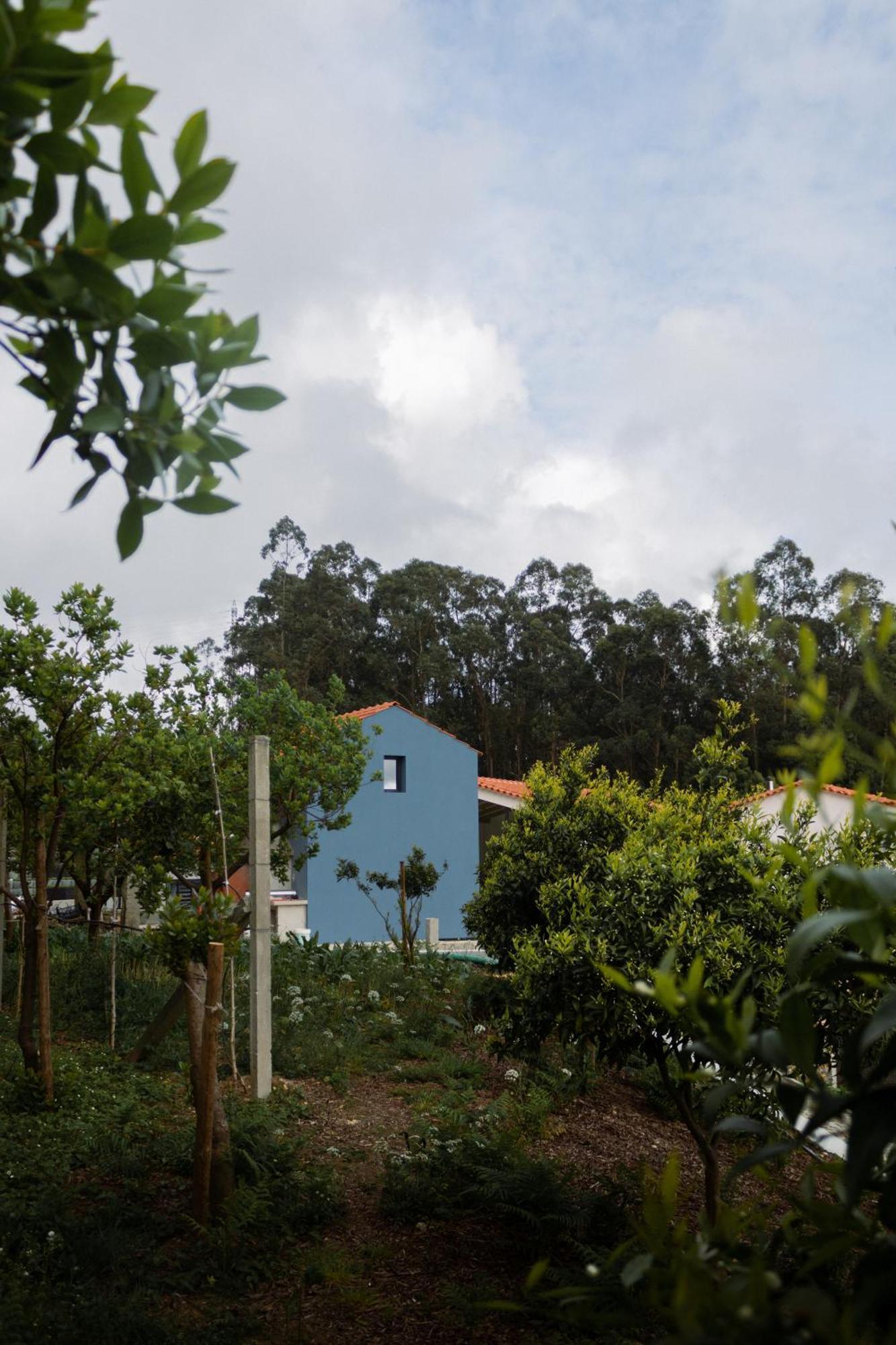 Casa Da Milheira - Agroturismo Oliveira de Azeméis Zewnętrze zdjęcie