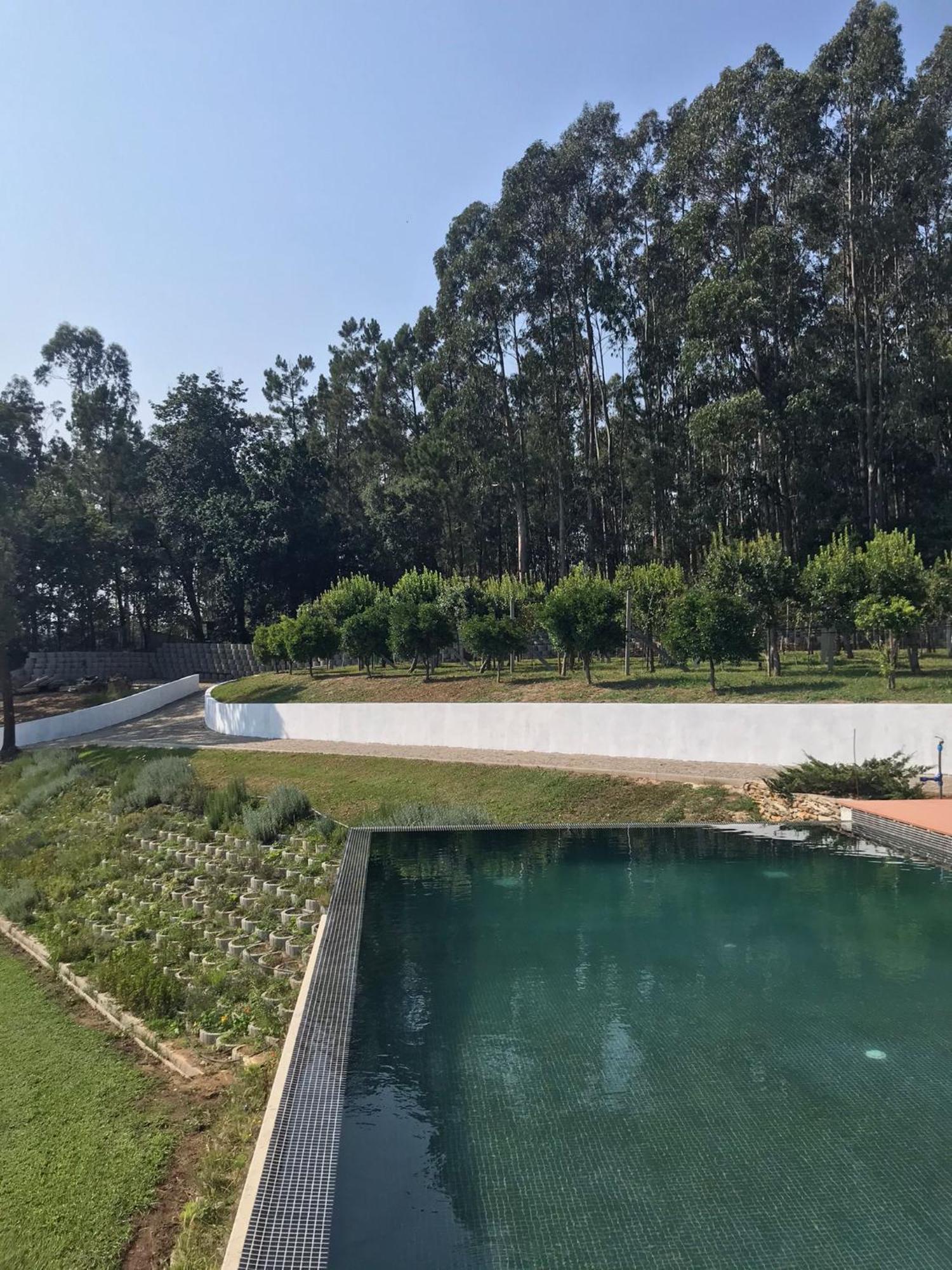 Casa Da Milheira - Agroturismo Oliveira de Azeméis Zewnętrze zdjęcie