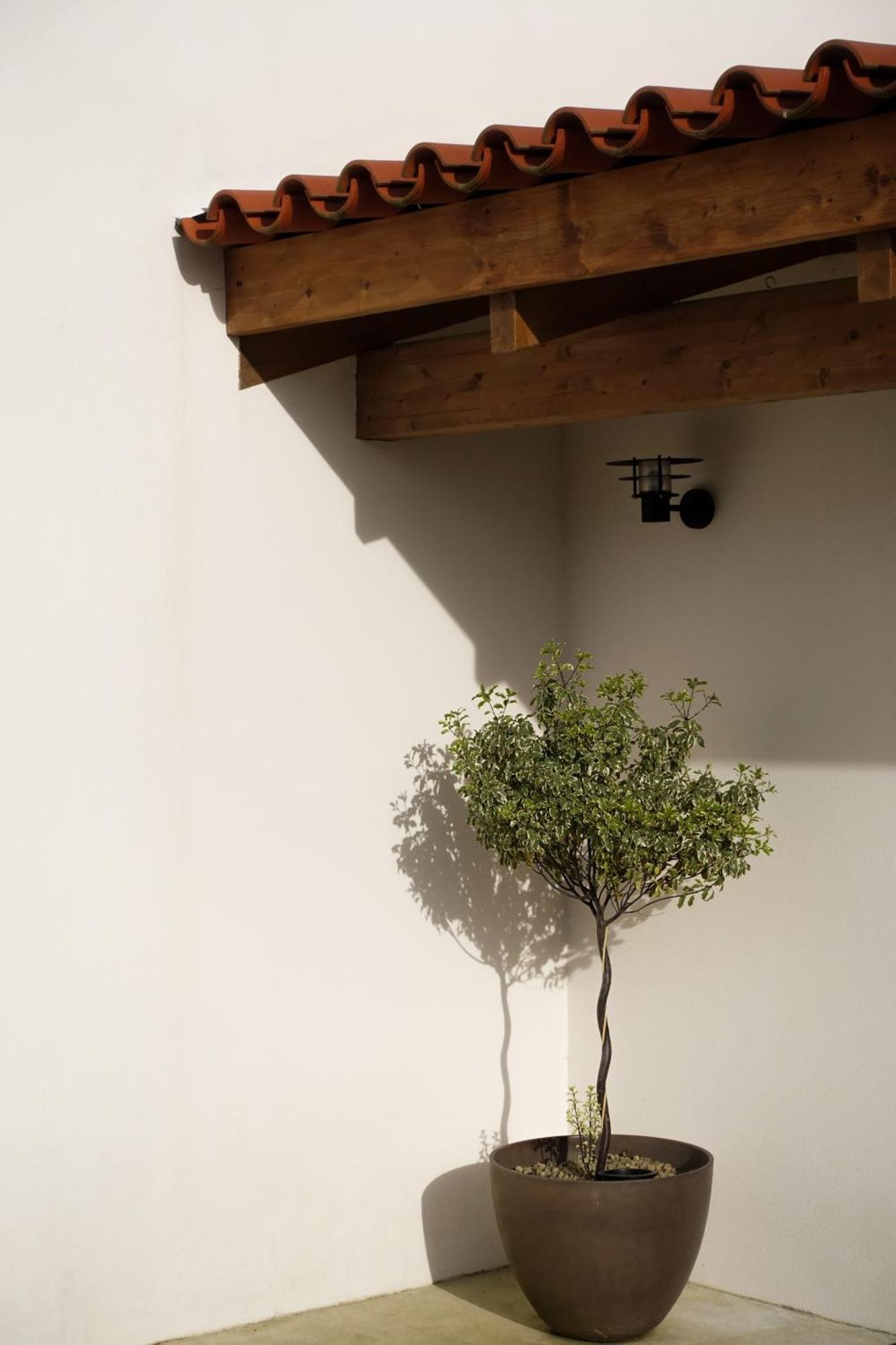Casa Da Milheira - Agroturismo Oliveira de Azeméis Zewnętrze zdjęcie